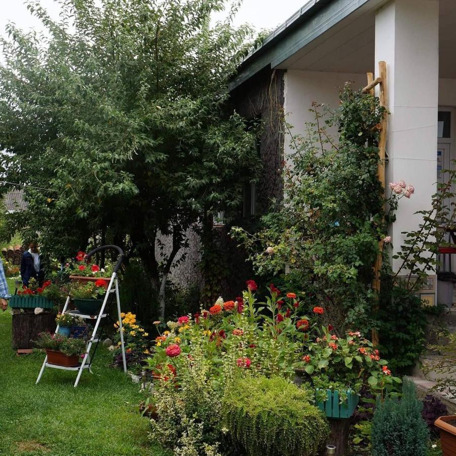 Leila'S Guest House Joqolo Kültér fotó